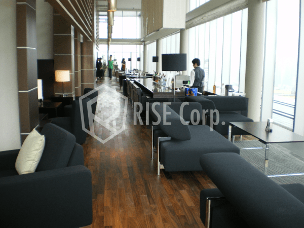 Akasaka Tower Residence Top of the Hill (Individual owner) lounge