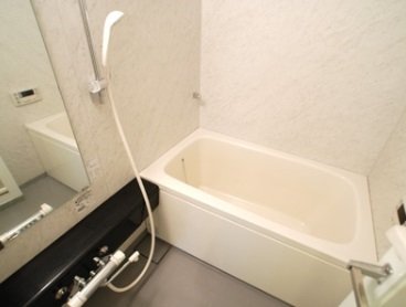 Premier Stage Shibakoen Bathroom